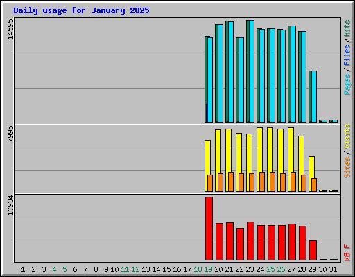 Daily usage for January 2025