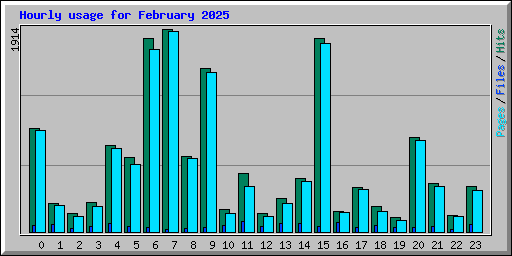 Hourly usage for February 2025