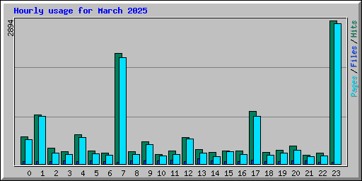 Hourly usage for March 2025