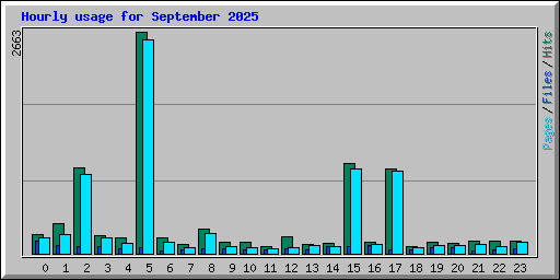 Hourly usage for September 2025